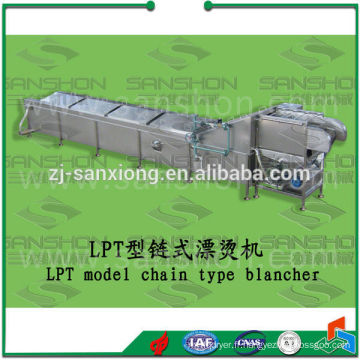 Strawberry LPT model blanching machine